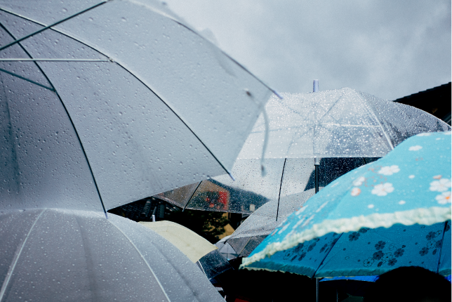 Memasuki Musim Hujan, Apa Saja yang Harus Dipersiapkan? - Blog Aikrut